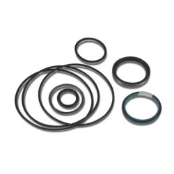 Seal Kit TMS-Toro 112-0272 130-8359 115-5480