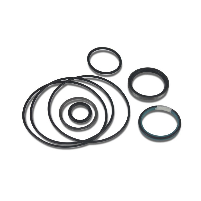Seal Kit TMS-Toro 112-0272 130-8359 115-5480
