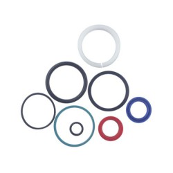 Seal Kit TMS-Toro 110-4132