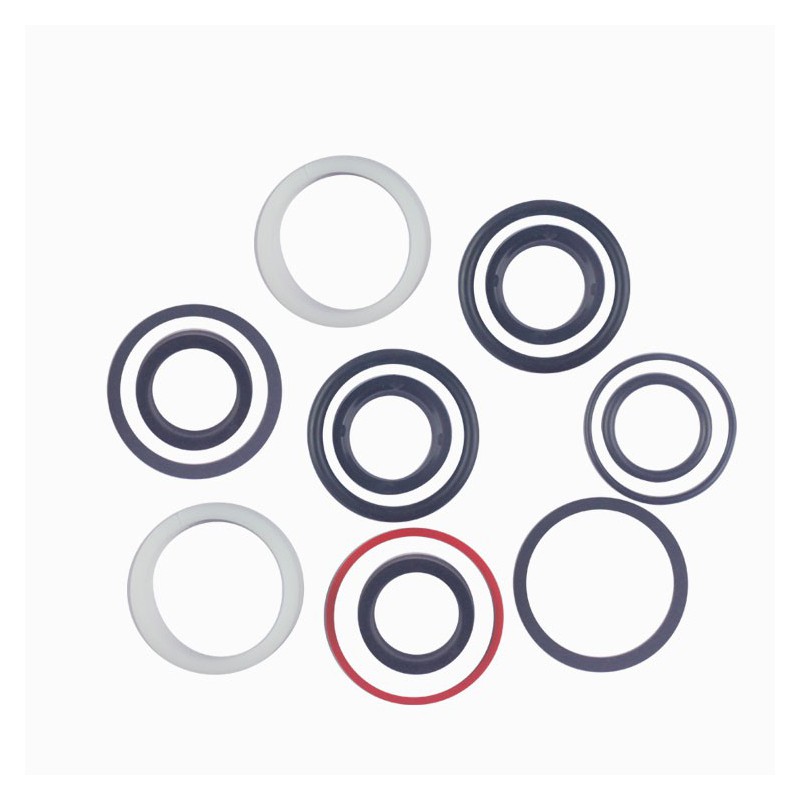 Seal Kit TMS-Toro 94-4398