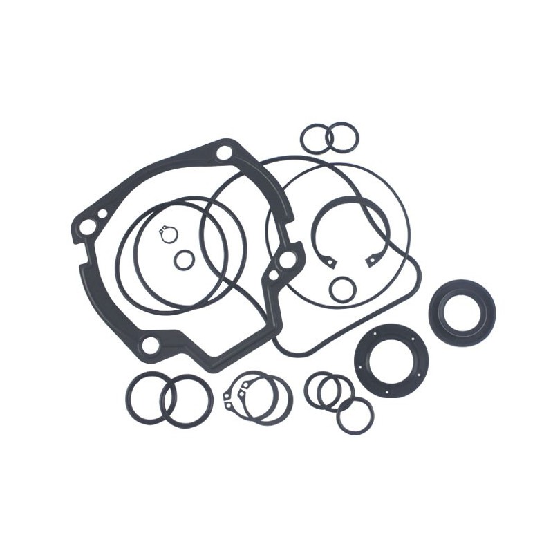 Seal Kit TMS-Toro 120-5754 104-4868 105-3844 119-2007