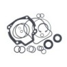 Seal Kit TMS-Toro 120-5754 104-4868 105-3844 119-2007