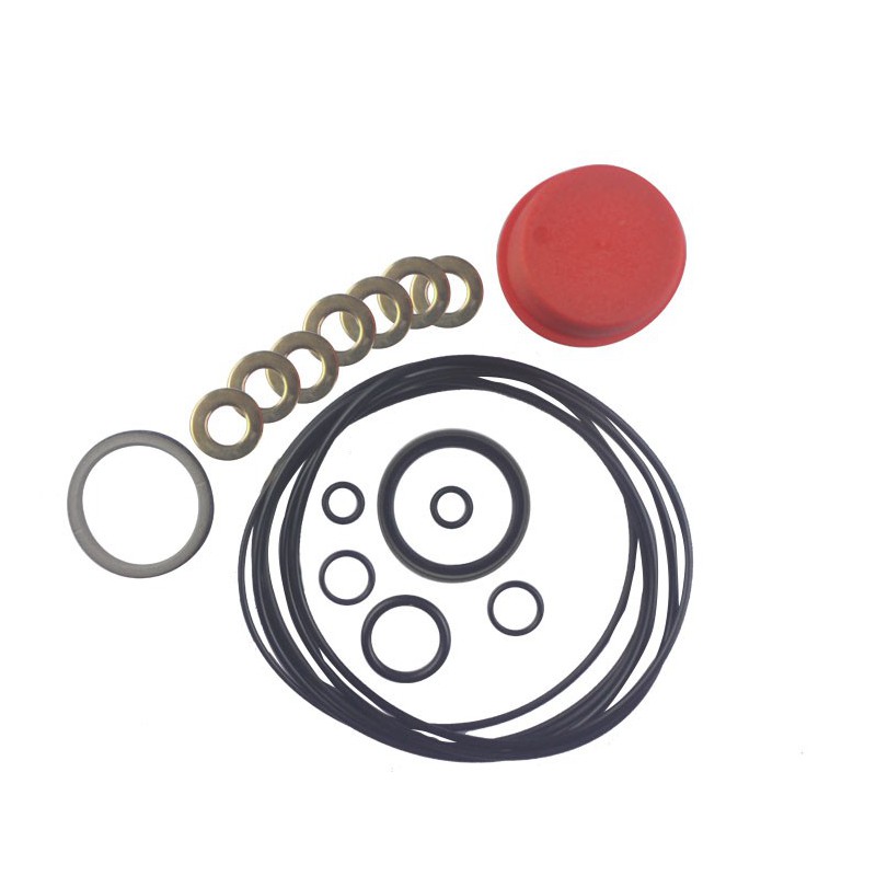 Seal Kit TMS-Toro 112-0218