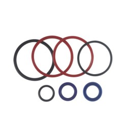Seal Kit TMS-Toro 108-4434 98-8163