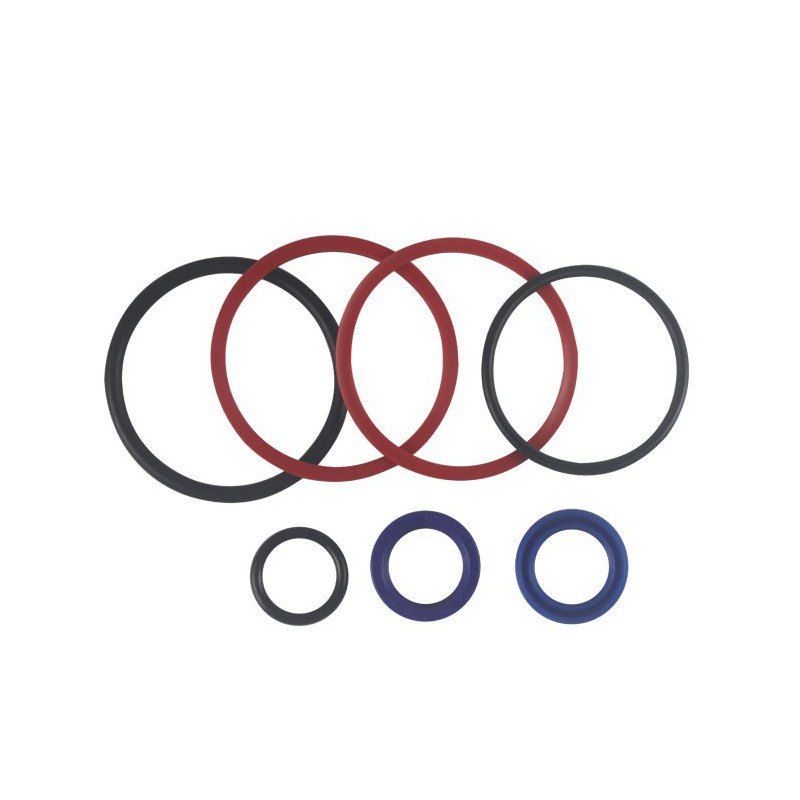 Seal Kit TMS-Toro 108-4434 98-8163