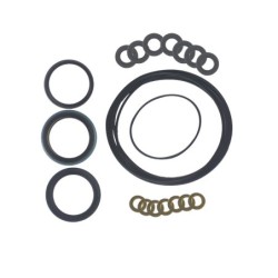 Seal Kit TMS-Toro 108-6796 126-7279 109-5965 109-5966