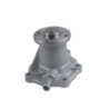 Water Pump Assy TMS-Toro 110-3824 125-9080