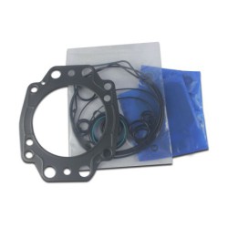 Seal Kit TMS-Toro 107-1561