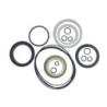 Seal Kit TMS-Jacobsen-Ransomes 5002111 4178565