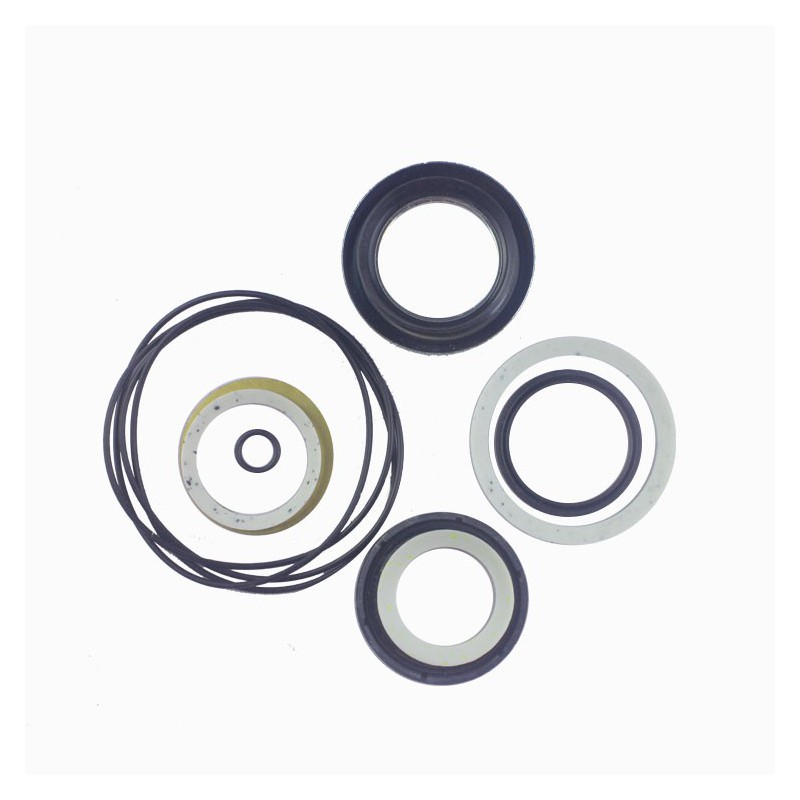 Seal Kit TMS-Jacobsen-Ransomes 5003385 4134527
