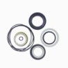 Seal Kit TMS-Jacobsen-Ransomes 5003385 4134527