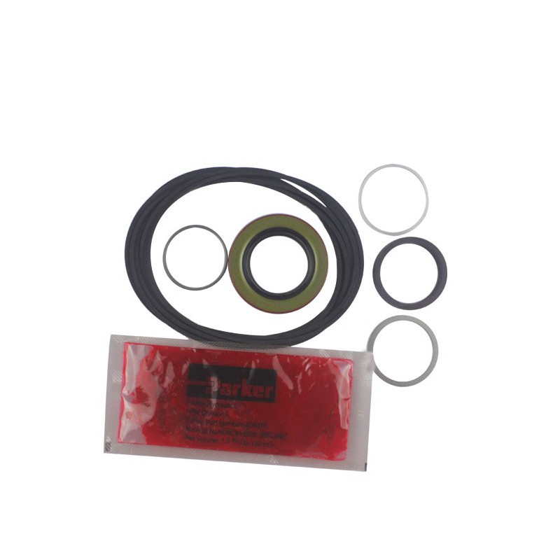 Seal Kit TMS-Jacobsen-Ransomes 554520 148138 8200520