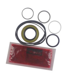 Seal Kit TMS-Jacobsen-Ransomes 4139604