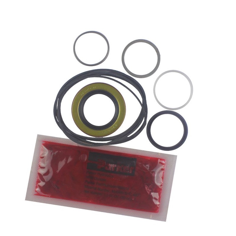Seal Kit TMS-Jacobsen-Ransomes 4139604