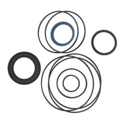 Seal Kit TMS-Jacobsen-Ransomes 2300620