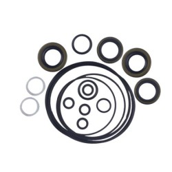 Seal Kit TMS-Jacobsen-Ransomes 2500620 502929