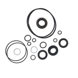 Seal Kit TMS-Jacobsen-Ransomes 2500620 502929