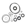 Seal Kit TMS-Jacobsen-Ransomes 2500620 502929