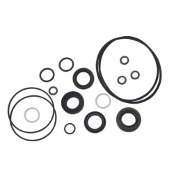 Seal Kit TMS-Jacobsen-Ransomes 2500620 502929