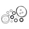 Seal Kit TMS-Jacobsen-Ransomes 2500620 502929