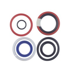 Seal Kit TMS-Jacobsen-Ransomes 4137139 4138500