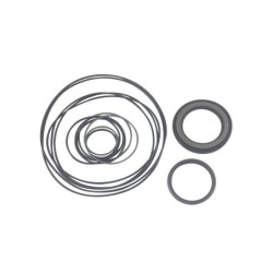 Seal Kit TMS-Jacobsen-Ransomes 4134020