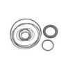 Seal Kit TMS-Jacobsen-Ransomes 4134020