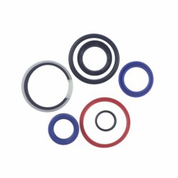Seal Kit TMS-Jacobsen-Ransomes 5003658