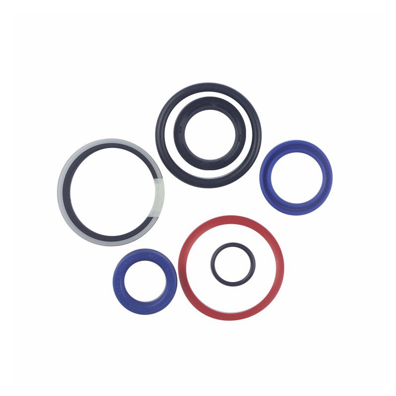 Seal Kit TMS-Jacobsen-Ransomes 5003658