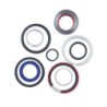 Seal Kit TMS-Jacobsen-Ransomes 4194460