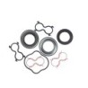 Seal Kit TMS-Jacobsen-Ransomes 4136829