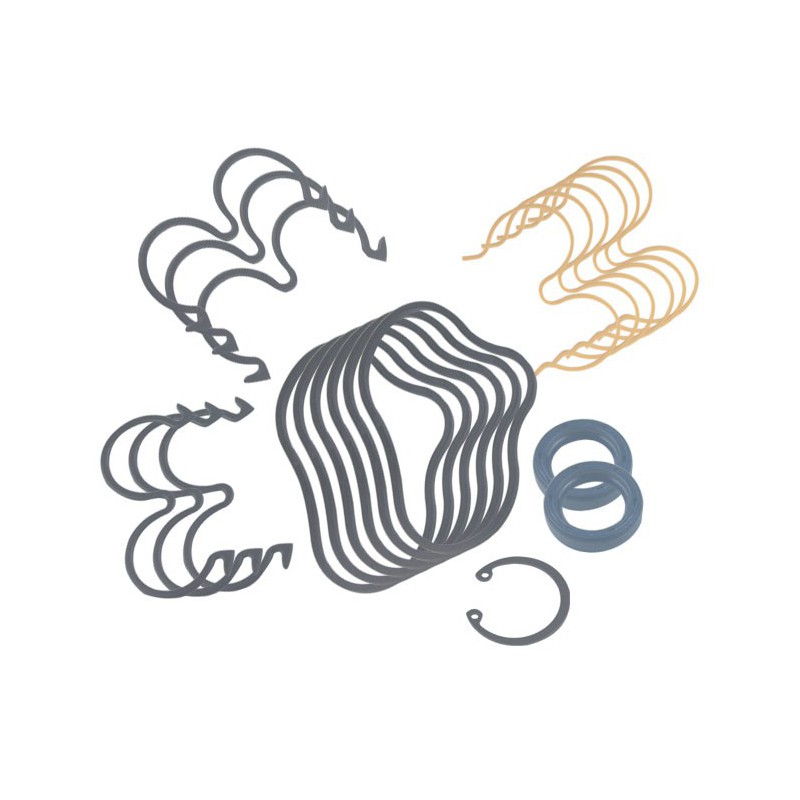 Seal Kit TMS-Jacobsen-Ransomes 5003036 4223160