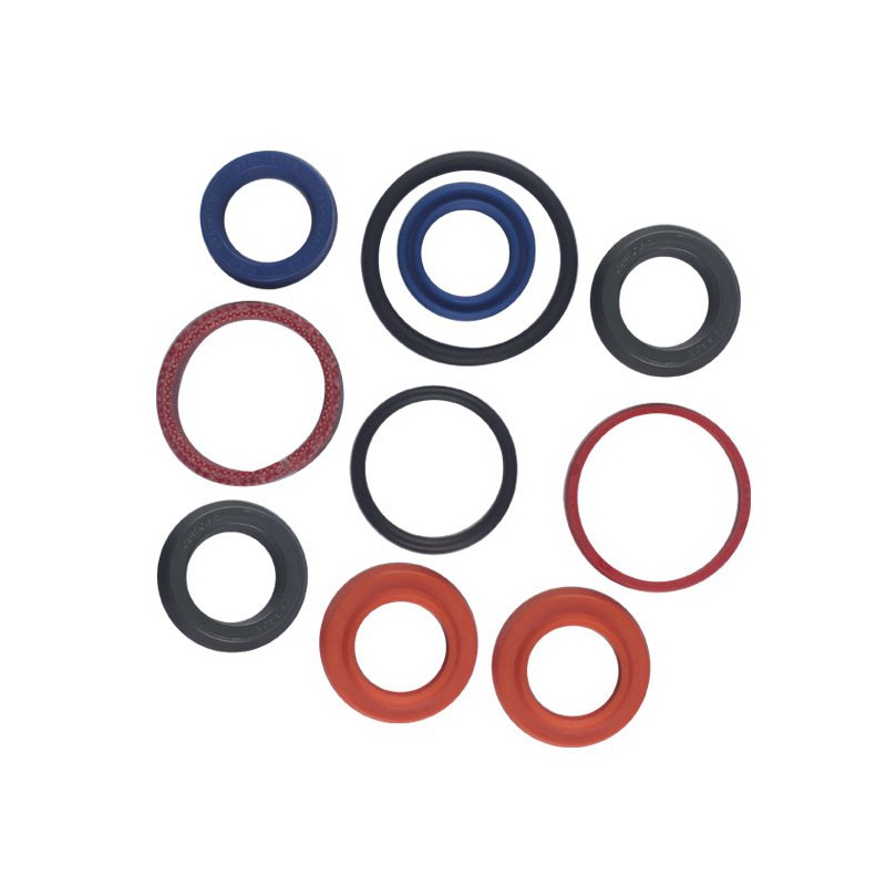 Seal Kit TMS-Jacobsen-Ransomes 8015040