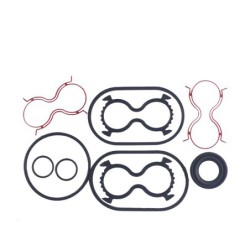 Seal Kit TMS-Jacobsen-Ransomes 5003031