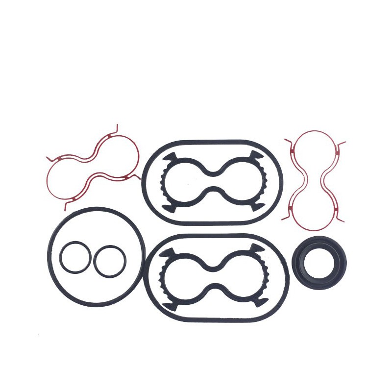 Seal Kit TMS-Jacobsen-Ransomes 5003031