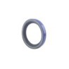 Seal TMS-Jacobsen-Ransomes 366649