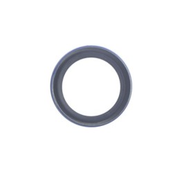 Seal TMS-Jacobsen-Ransomes 366649