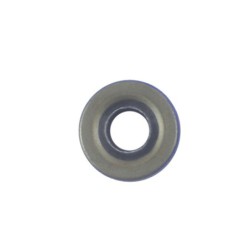 Seal TMS-Jacobsen-Ransomes 3010286