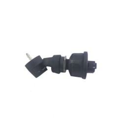 Ing Switch TMS-Jacobsen-Ransomes 4283269