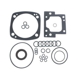 Seal Kit TMS-Jacobsen-Ransomes 4119333 4149859