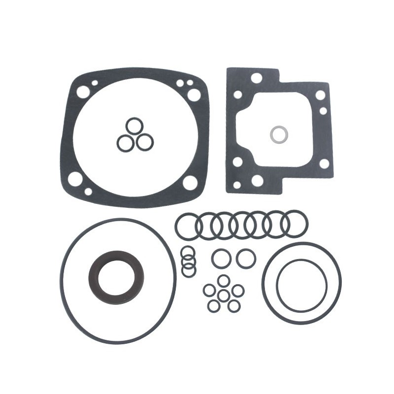 Seal Kit TMS-Jacobsen-Ransomes 4119333 4149859
