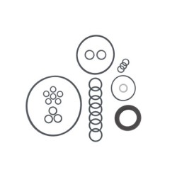 Seal Kit TMS-Jacobsen-Ransomes 4119333 4149859