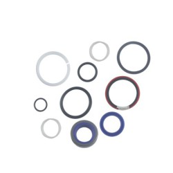 Seal Kit TMS-Jacobsen-Ransomes 4194020