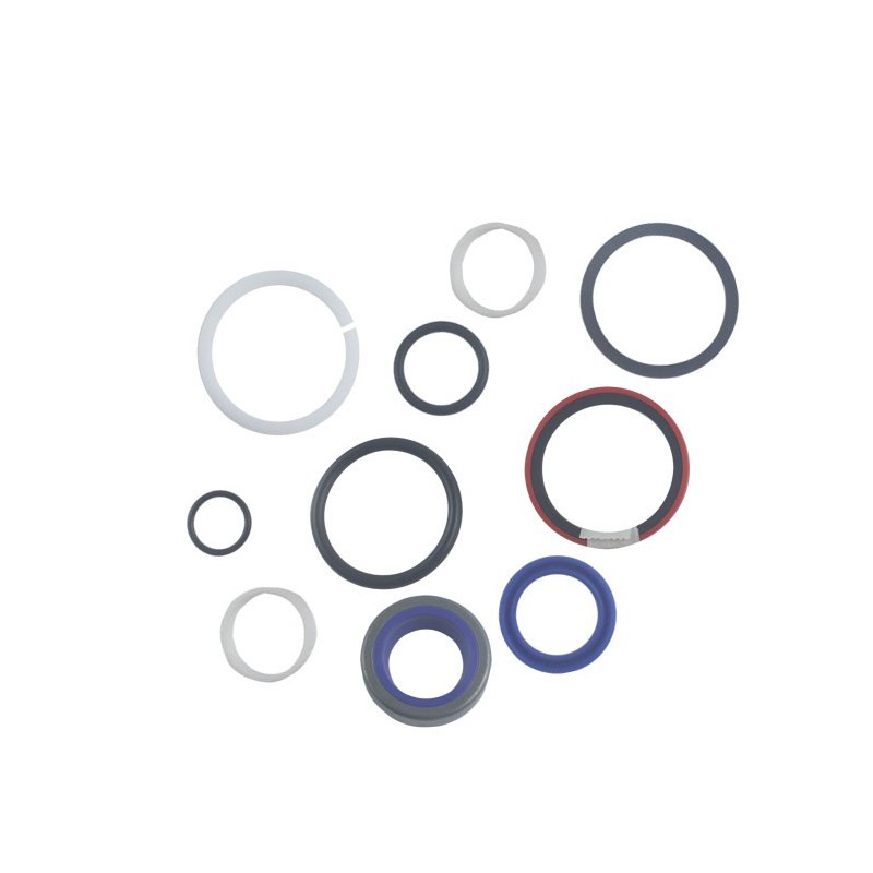 Seal Kit TMS-Jacobsen-Ransomes 4194020