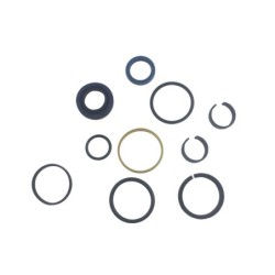 Seal Kit TMS-Jacobsen-Ransomes 4280312