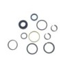 Seal Kit TMS-Jacobsen-Ransomes 4280312