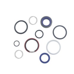 Seal Kit TMS-Jacobsen-Ransomes 4280312