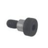 Bolt TMS-Jacobsen-Ransomes 365246