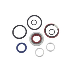 Seal Kit TMS-Jacobsen-Ransomes 4276851