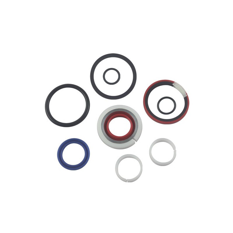 Seal Kit TMS-Jacobsen-Ransomes 4276851